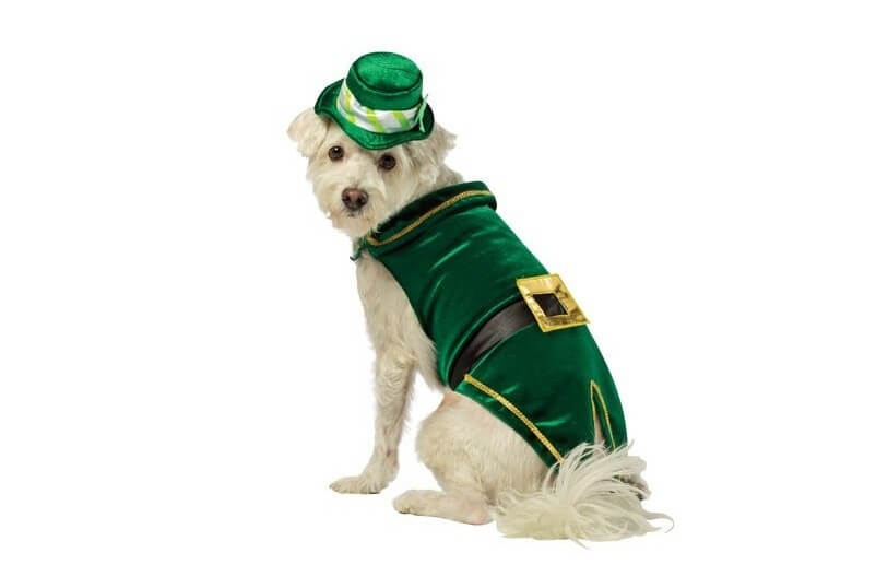 alice-kostuem-deluxe-fuer-hunde