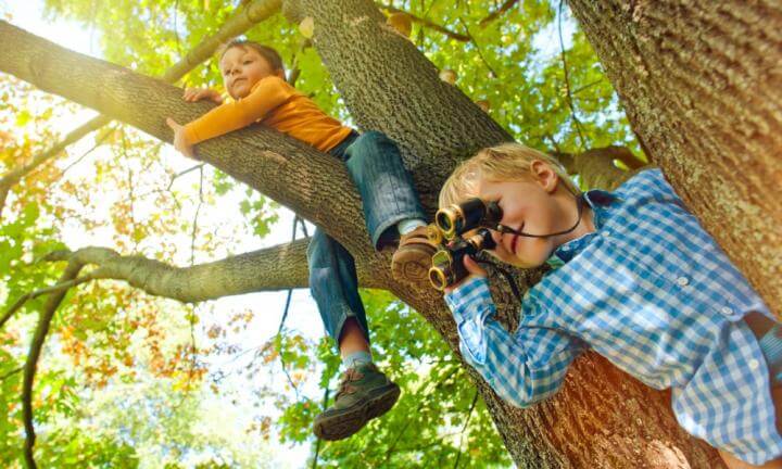 uber-B-ume-beibringen-lernspeiel-basteln-partyspiele-kinderspiele-geburtstagsspiele